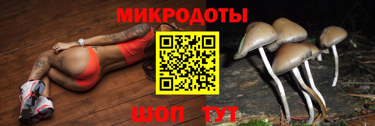 Галлюциногенные грибы Psilocybe Выкса